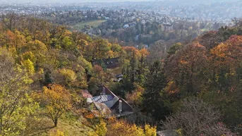 Expose Ehemaliges Weinhauerhaus in einzigartiger Sieveringer Lage wartet auf Revitalisierung!