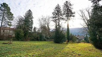 Expose Villen-Baugrund auf Südhang im Pressbaumer Zentrum