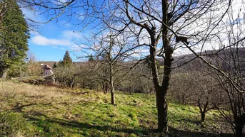 Expose Grundstück mit Panoramablick an der Wiener Stadtgrenze