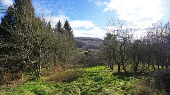 Expose Grundstück mit Panoramablick an der Wiener Stadtgrenze