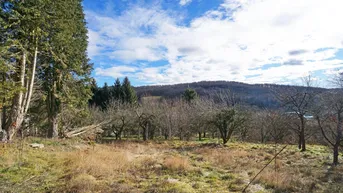 Expose Grundstück mit Panoramablick an der Wiener Stadtgrenze - teilbar mit Bauträger-Eignung!