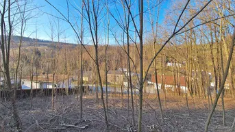 Expose Sonniges Baugrundstück auf Südwest-Hang im Irenental