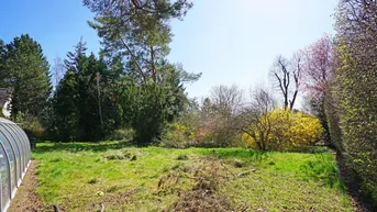 Expose Villengrundstück in Waldrandruhelage zwischen Wolfersberg und Kolbeterberg