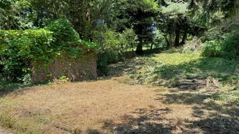 Expose Großzügiges Baugrundstück mit Abbruchhaus und Grünlandanteil im Irenental