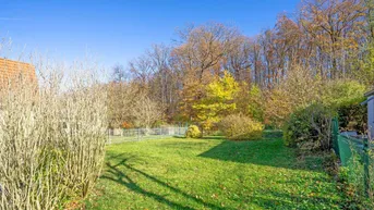Grüner Gartenbereich mit Rasenfläche und herbstlichen Bäumen im Hintergrund unter blauem Himmel.
