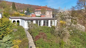 Modernes Einfamilienhaus mit Flachdach und großen Fenstern, umgeben von einem gepflegten grünen Garten mit blühenden Sträuchern.