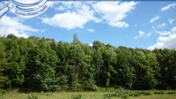 Expose Waldgrundstück Nähe A5!