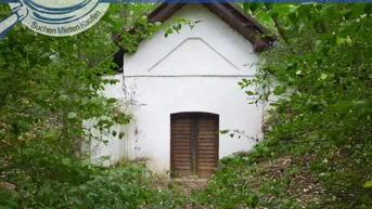 Expose Weinkeller mit riesen Waldgrundstück Nähe A5!