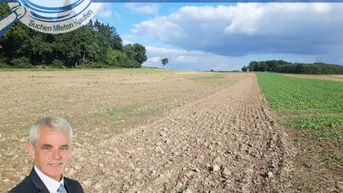 Expose Acker bei Maissau - 3,42 ha landwirtschaftliche Nutzfläche!