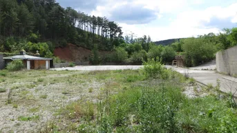 Expose Großes Waldgrundstück mit asphaltierter Freifläche in Willendorf