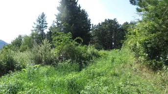 Expose Baugrund in Maiersdorf (Hohe Wand)