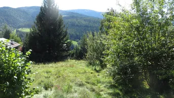 Expose Baugrund am Semmering mit Ausblick