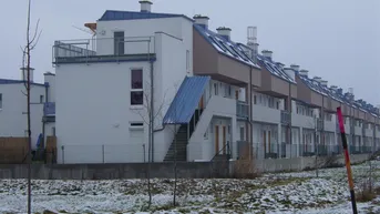 Expose Bruck/Leitha. Top 2/17 geförderte 4 Zimmer Maisonette OG+DG | 2 Terrassen | Miete mit Kaufoption.