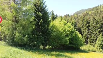 Expose Aufgeschlossener Baugrund - ohne Bauzwang!