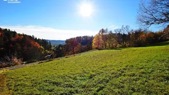 Expose 8380 Jennersdorf - Traumhaftes Baugrundstück mit Fernblick über Laritzgraben!