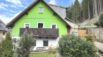 Expose Einfamilienhaus mit großzügigen Grünflächen und einem Waldstück in Mariazell