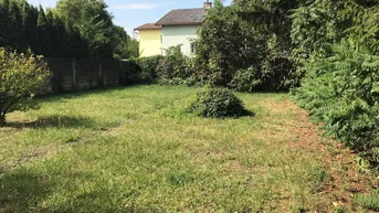 Expose Großes Grundstück mit Altbestand im Herzen von Stockerau
