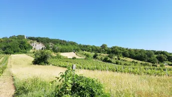 Expose 2352 Gumpoldskirchen, Wunderschönes Grundstück (4.949,00 m²) im Naturschutzgebiet mit Wohlfühl-Häuschen