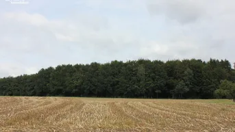 Expose Landwirtschaftlich genutzte Grundstücke in 3300 Amstetten!!!