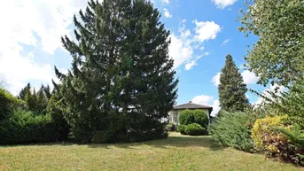 Expose Sonnenland Burgenland! Traumhafter Bungalow mit Vollkeller und Carport in toller Lage!
