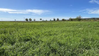 Expose Exklusives Grundstück - Grüner Ausblick bis zum Neusiedlersee