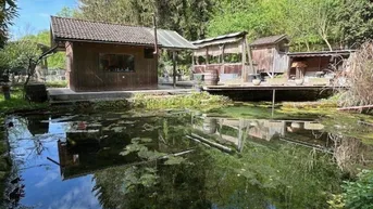 Expose Waldflächen mit Betriebshalle, Reitplatz und Fischteich