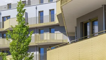 Moderne Fassade eines Wohngebäudes mit gelochten Balkongeländern und frischem Grün.