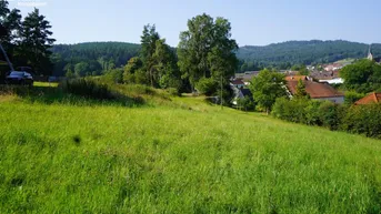 Expose Traumhaftes Baugrundstück Nähe Weitra: 1.007 m² warten auf Sie