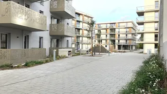 Expose Zukunft Wohnen: Mietwohnung mit Kaufoption in Baden-Leesdorf