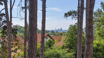 Blick durch hohe Bäume auf die Dächer von Häusern und eine entfernte Stadtkulisse.