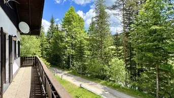 Geräumiger Balkon mit Holzgeländer und Blick auf einen Waldweg und die umliegende Natur.