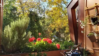 Blick von einem Balkon mit blühenden Geranien und üppigem Grün, umgeben von Bäumen.