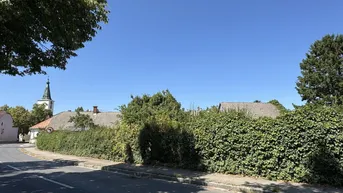 Blick auf die Straße mit einer hohen Hecke und Häusern im Hintergrund, darunter ein Kirchturm.