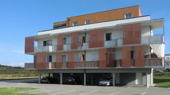 Expose Großzügige 3 Zimmer- Dachgeschosswohnung mit Schwimmbiotop in Petzenkirchen