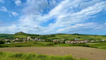 Expose Winzerhaus im Weinort Falkenstein