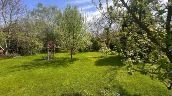 Expose Ein Paradies auf dem Land – Haus mit viel Charme und Platz!