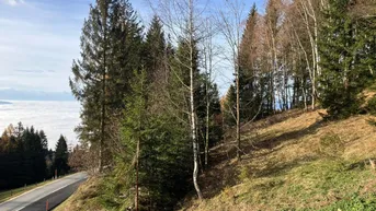 Expose Herrliches Baugrundstück auf der Koralpe