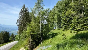 Expose Herrliches Baugrundstück auf der Koralpe