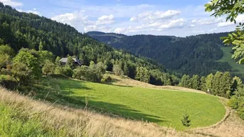 Expose Traumhaft gelegene Landwirtschaft mit Hofstelle in Unterkärnten