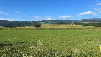Expose Ebener Acker/Wiese bei St. Marein zu verkaufen