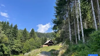 Expose Ihr Rückzugsort in den Bergen "Almhaus Sonnblick" in Alleinlage Nähe Schi- und Erholungsgebiet Klippitztörl