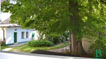 Blick auf ein kleines Haus mit grünem Garten und altem Baumbestand, umgeben von üppiger Vegetation.