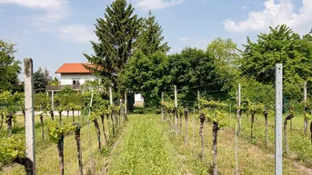 Expose BEZIRK BADEN: PFAFFSTÄTTEN: Baugrundstück in toller grüner und ruhiger Lage