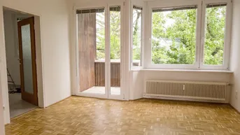 Expose BADEN, frisch sanierte 3-Zimmer Wohnung mit Balkon und tollem Gemeinschaftsgarten in der Dammgasse 8, Baden