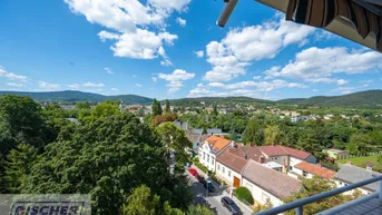 Expose 3 Zimmer Eigentum in Baden mit traumhafter Aussicht!