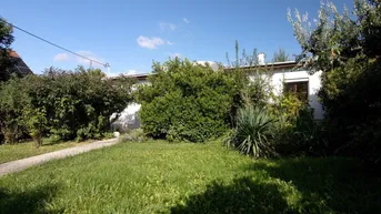 Expose Baden, Miet - Bungalow mit Terrasse und Garten (für max zwei Personen angedacht)