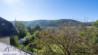 Panoramablick über die Baumwipfel auf die umliegende Hügellandschaft unter strahlend blauem Himmel.