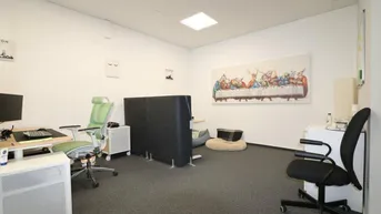 Modernes Büro mit grauen Teppichböden, ergonomischen Stühlen und kreativer Wandkunst, gut beleuchtet.