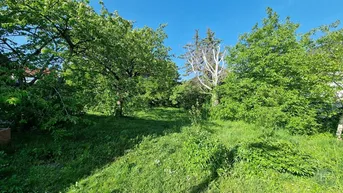 Expose Idyllisches Grundstück in Süßenbrunn - Ihr Rückzugsort für Ruhe und Natur