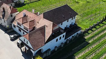 Luftaufnahme eines Gebäudes mit traditionellem Ziegeldach, umgeben von grünen Weinbergen unter strahlendem Himmel.